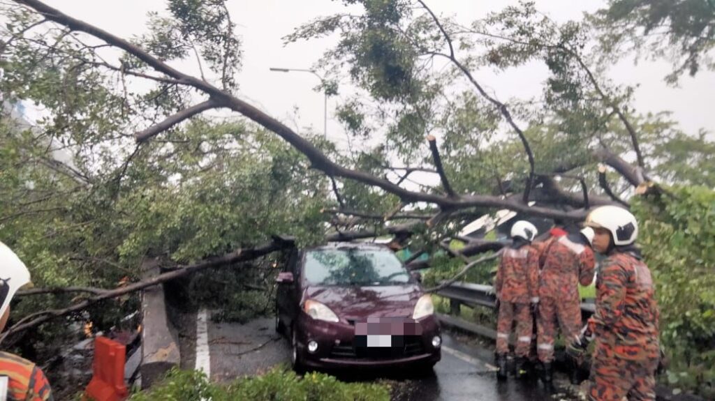 Enam Terselamat Pokok Tumbang Hempap Tiga Kereta Kosmo Digital