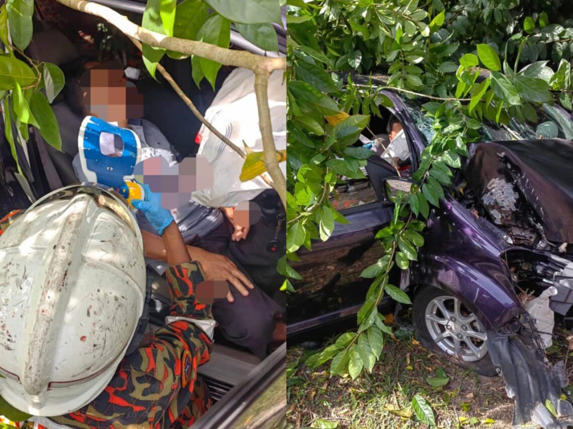 Pemandu Separuh Sedar Perodua Myvi Terbabas Rempuh Pokok Kosmo Digital