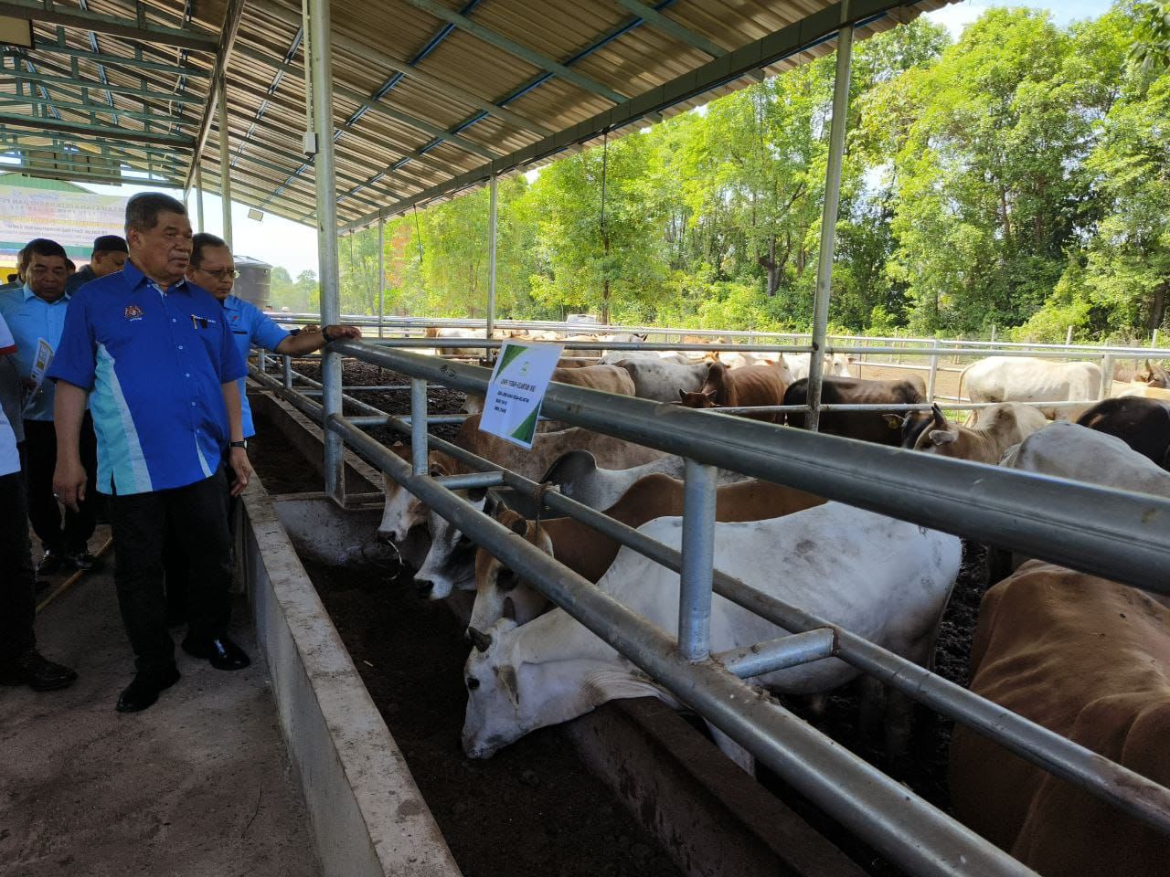 Pengeluaran daging lembu mampu cecah 100,000 tan metrik setahun pada 2030