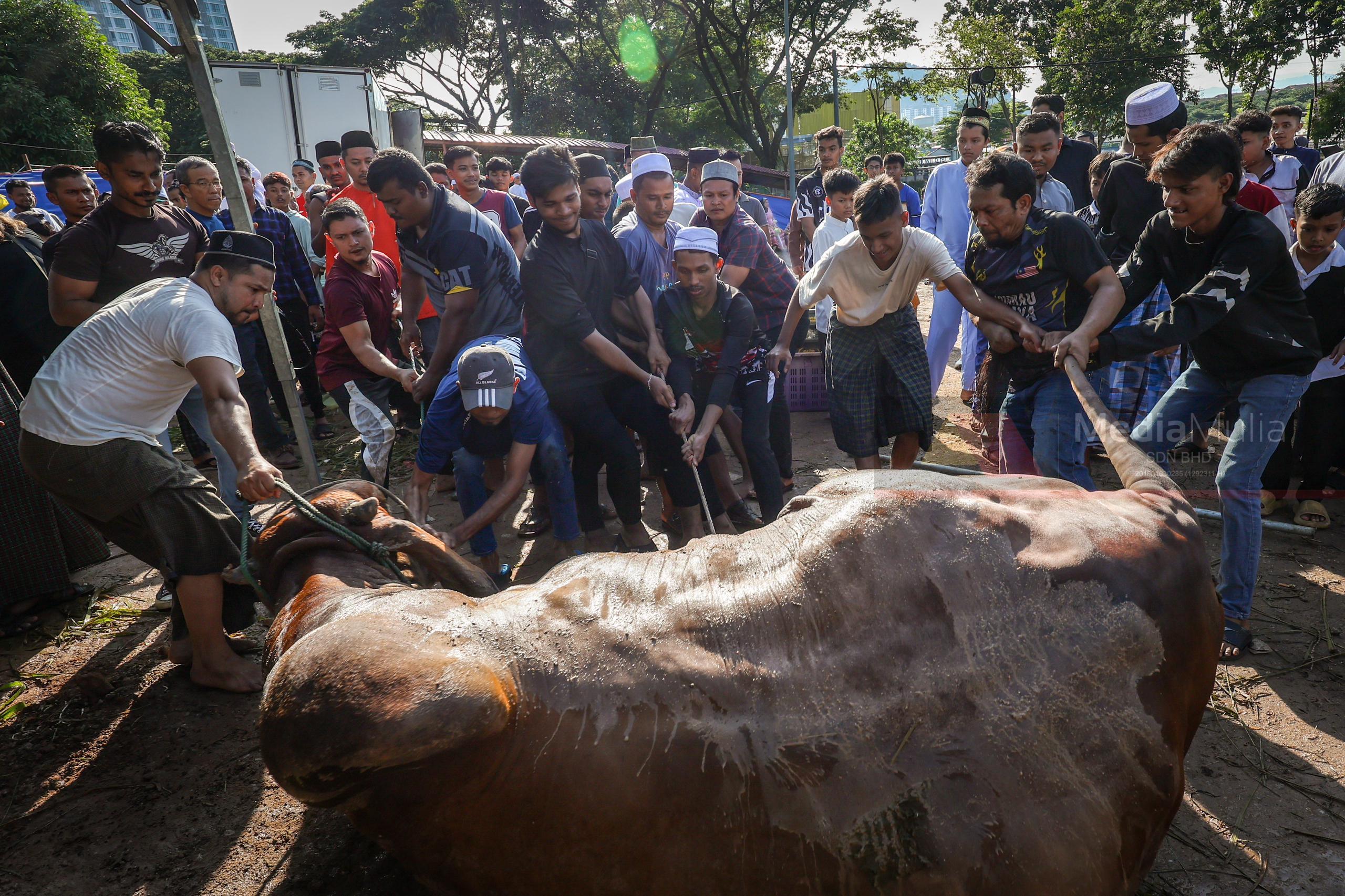 Pelarian Rohingya turut raikan kemeriahan Aidiladha