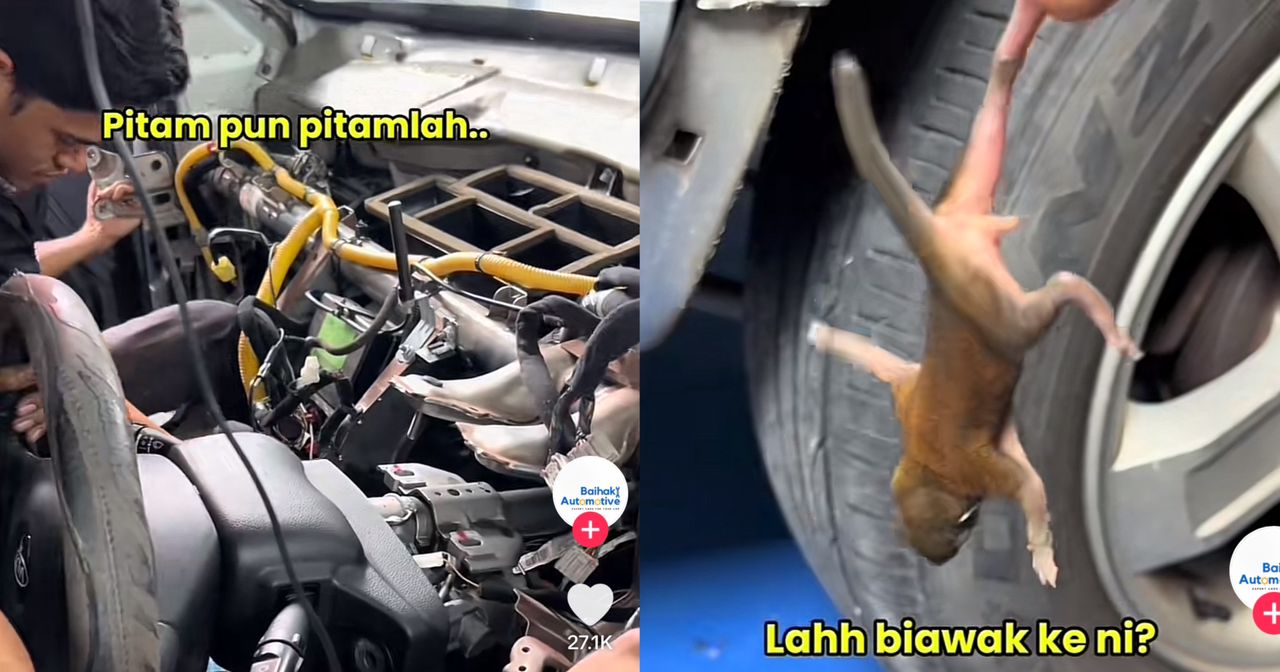 [VIDEO] Habis RM300 cari bau busuk dalam kereta