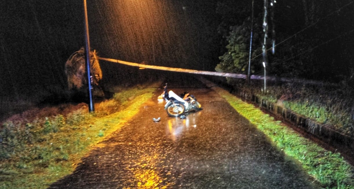 Buruh maut, motosikal terlanggar pokok kelapa tumbang