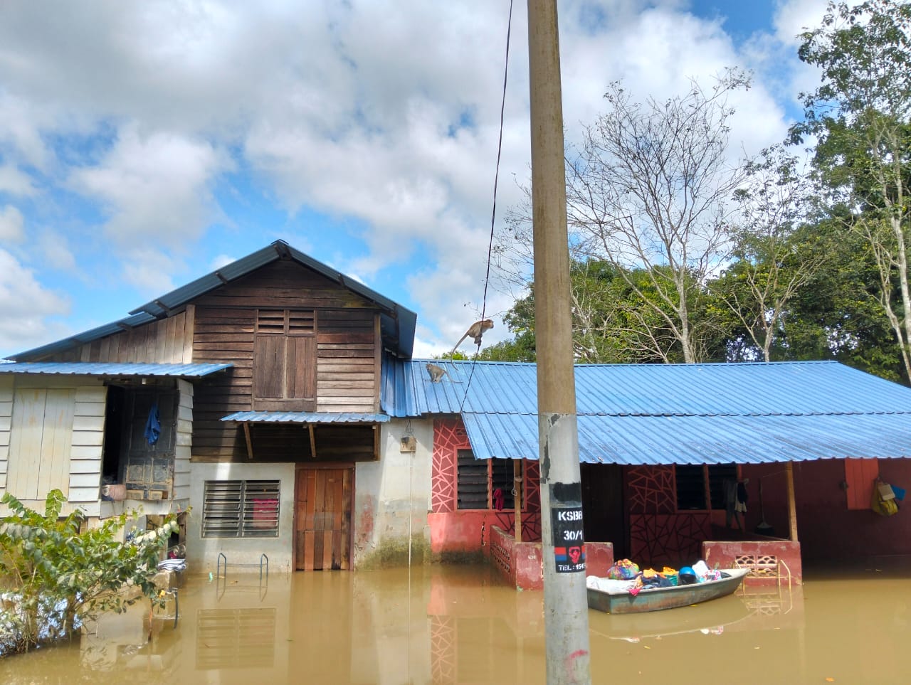 Rumah mangsa banjir ‘jadi’ PPS monyet