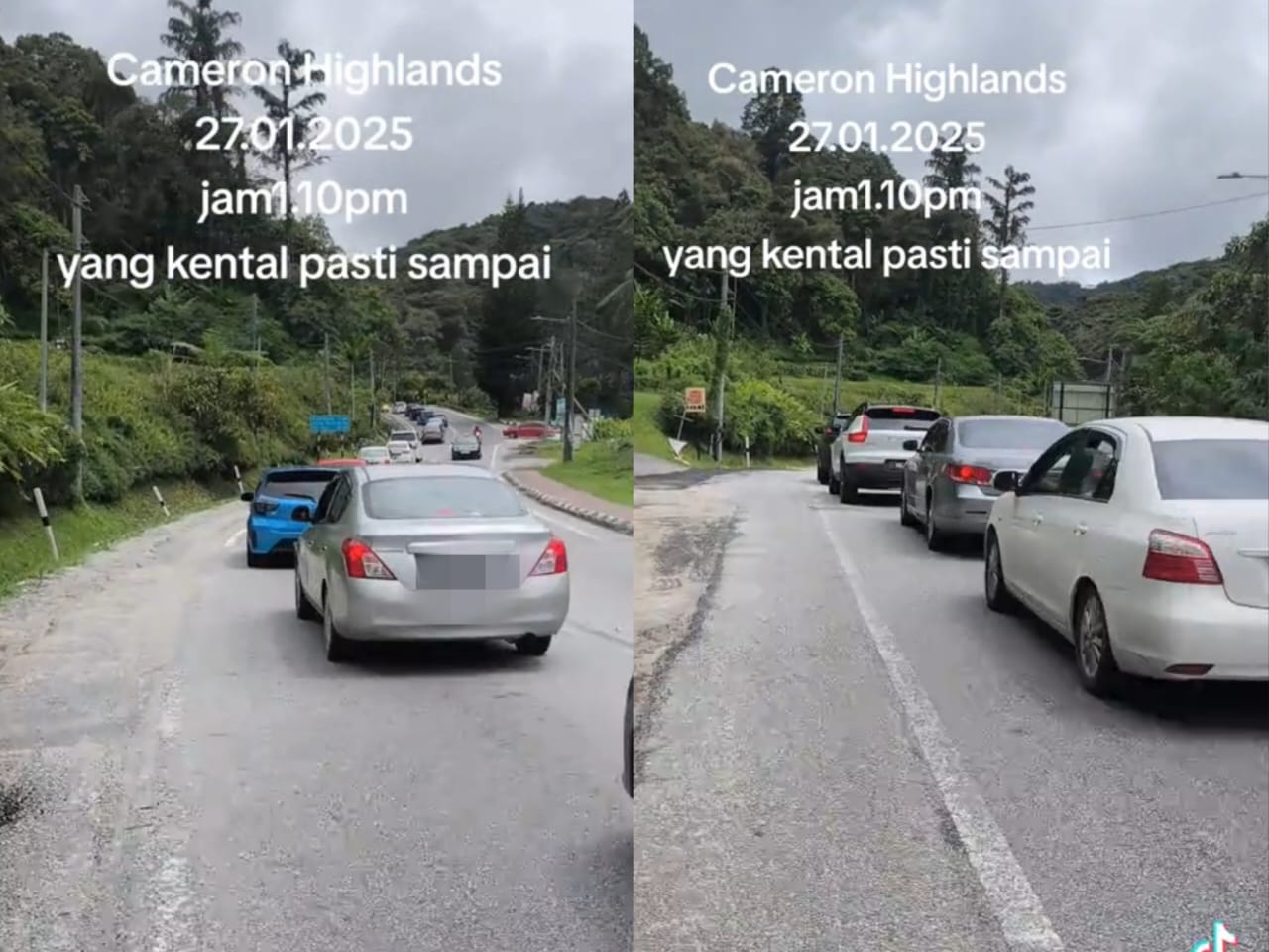 [VIDEO] ‘Yang kental pasti sampai Cameron Highlands’