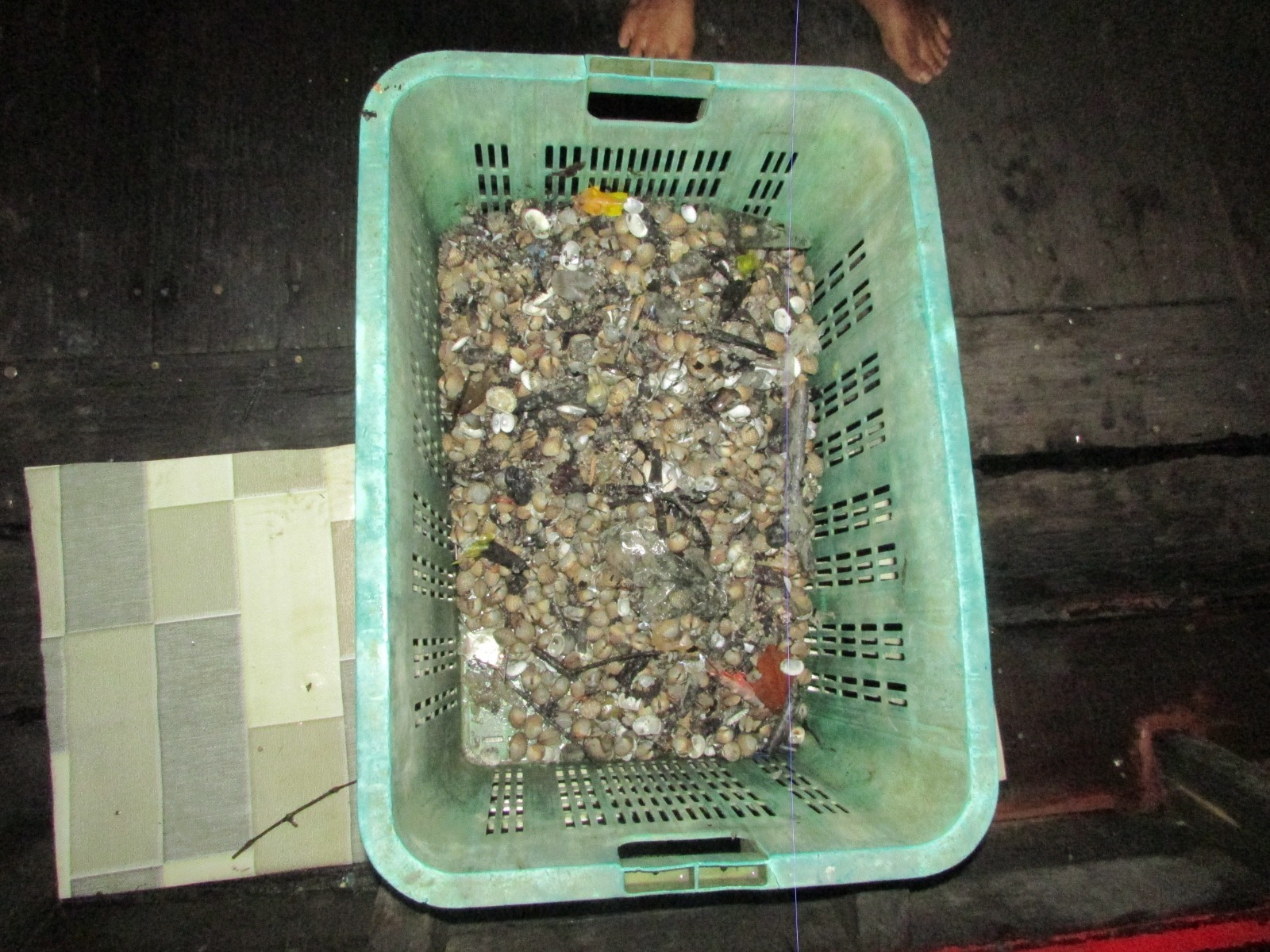 Nelayan ditahan curi 10kg kerang