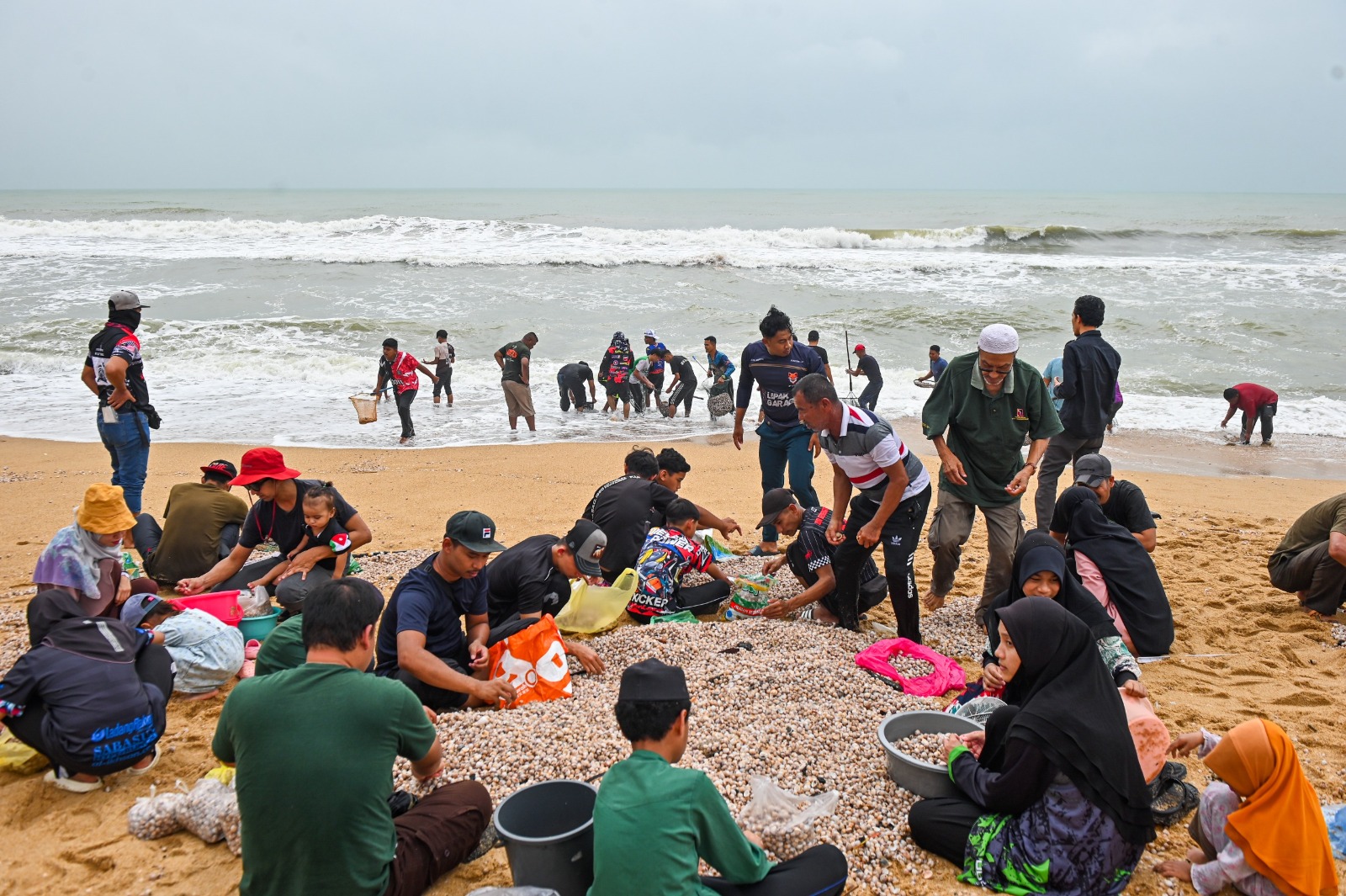 Kerang Pantai Sura disah mengandungi bakteria Fecal coliform, E. coli