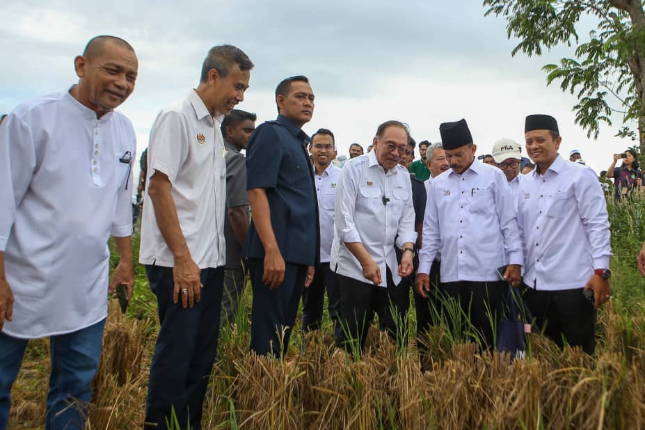 RM15 juta buat pesawah sempena Ramadan, Aidilfitri