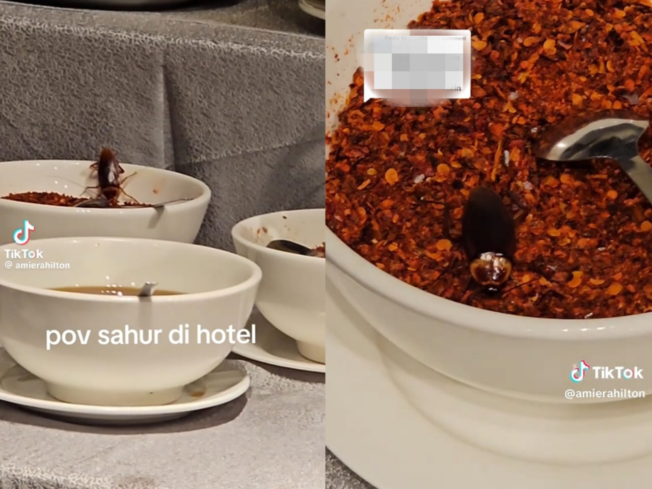 [VIDEO] Lipas pun nak ‘join’ sahur di hotel