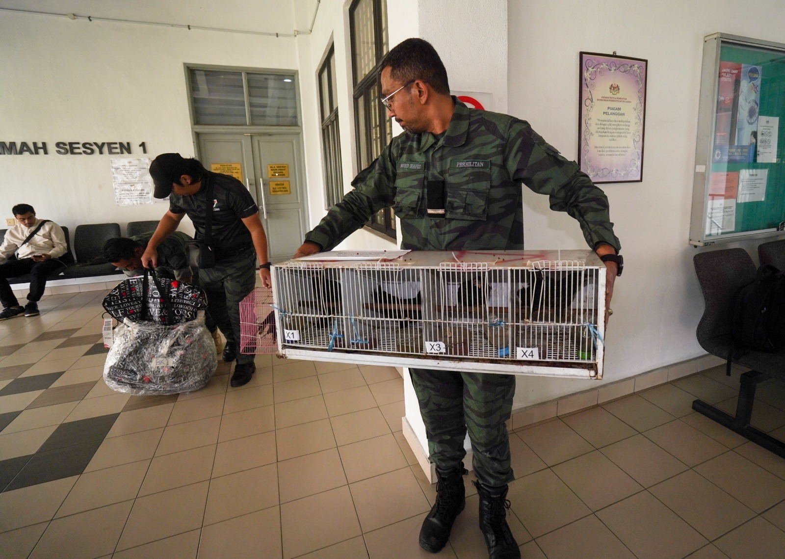 Lelaki kena denda RM50,000 simpan burung dalam paip PVC