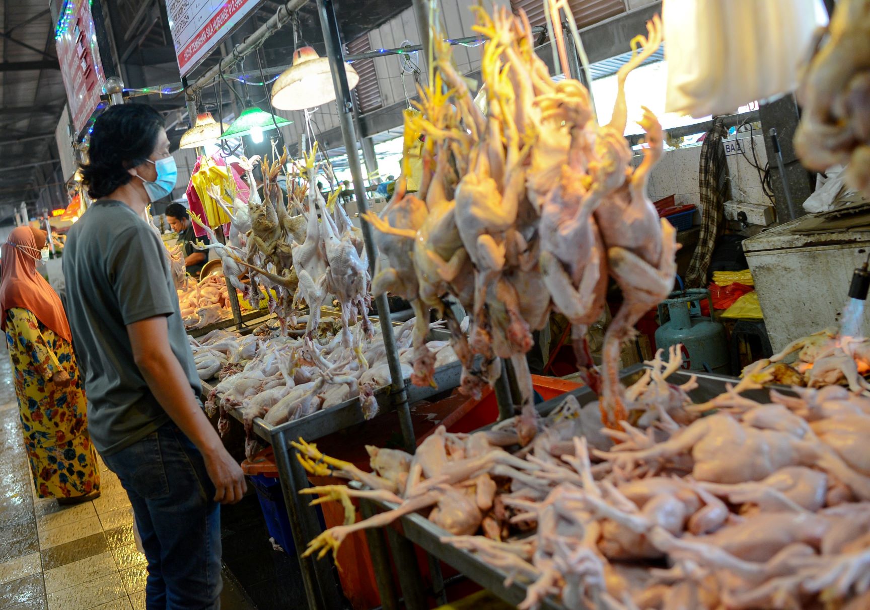 Harga Ayam Cecah Rm10 Sekilogram Kosmo Digital