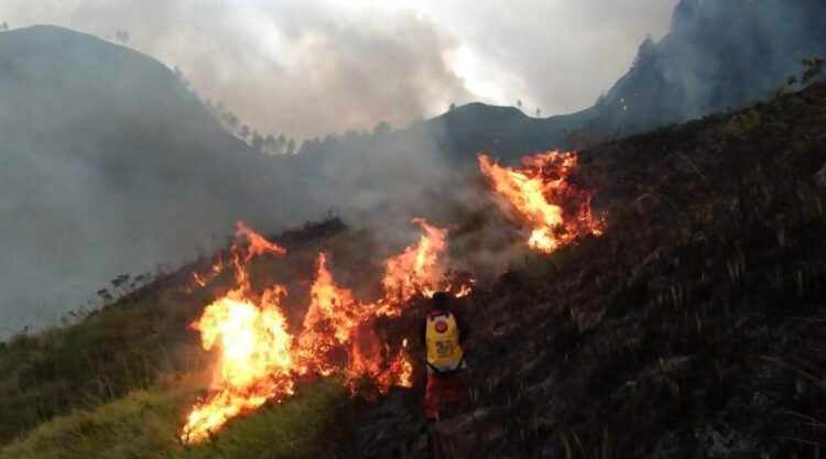 Kebakaran Hutan Di Danau Toba Dikawal Pada Hari Ketiga - Kosmo Digital