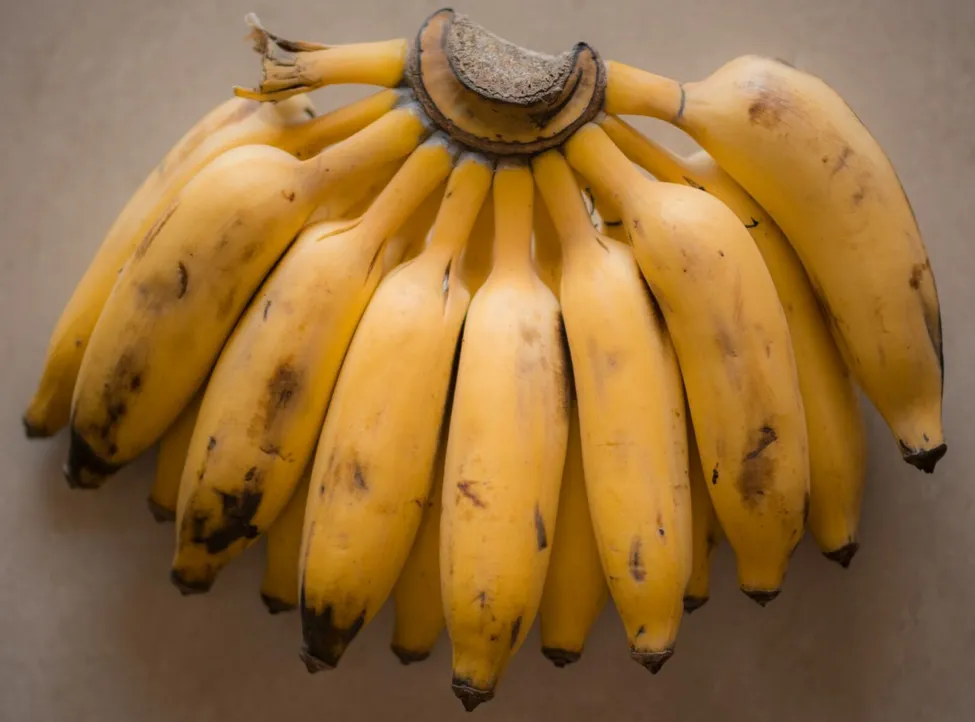 Lapan Kanak Kanak Disaman Makan Seikat Pisang Di Rumah Rakan Kosmo