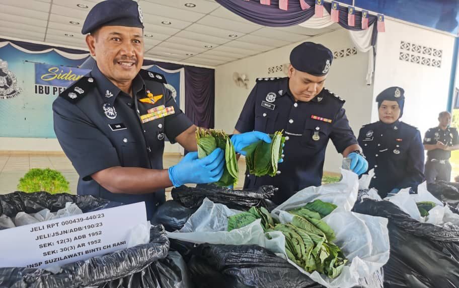 Penganggur pecut kereta sejauh 15 KM dicekup bawa 560 kg daun ketum