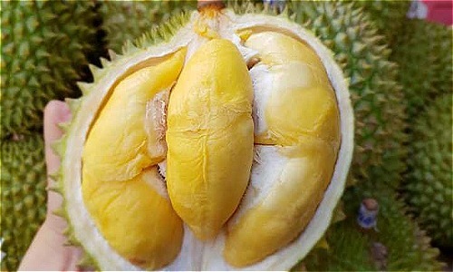 Duit sudah dibayar, tetapi masih tidak dapat durian