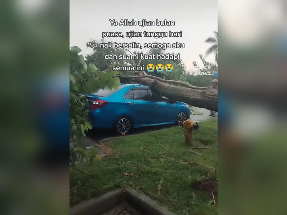 Kereta ibu hamil dihempap pokok tumbang