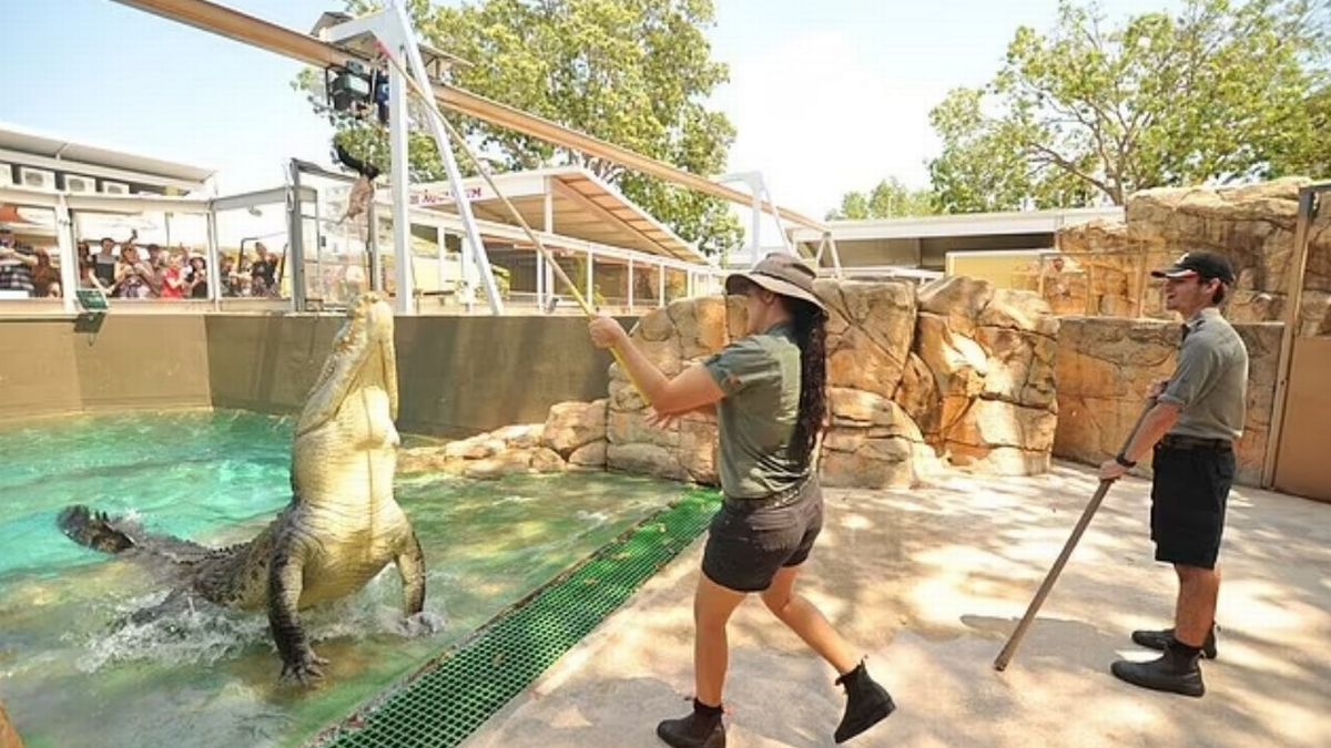 Pekerja taman reptilia cedera diserang buaya