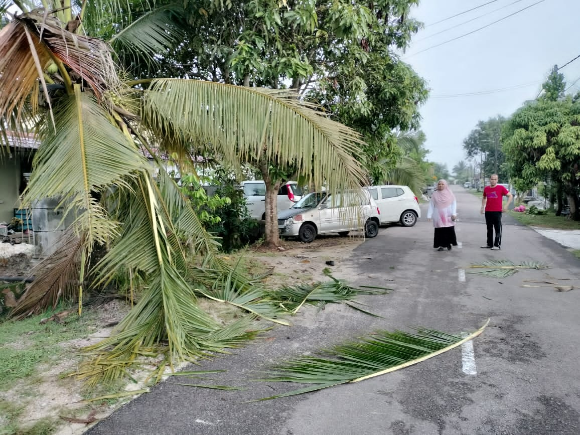 3 ekor gajah datang ‘beraya’ di Taman Sri Lambak