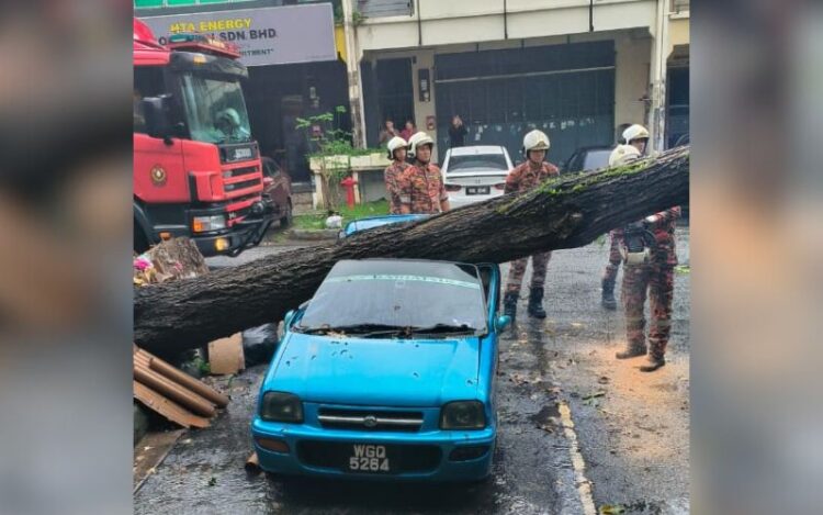 Tiga Kereta Rosak Dihempap Pokok Tumbang - Kosmo Digital