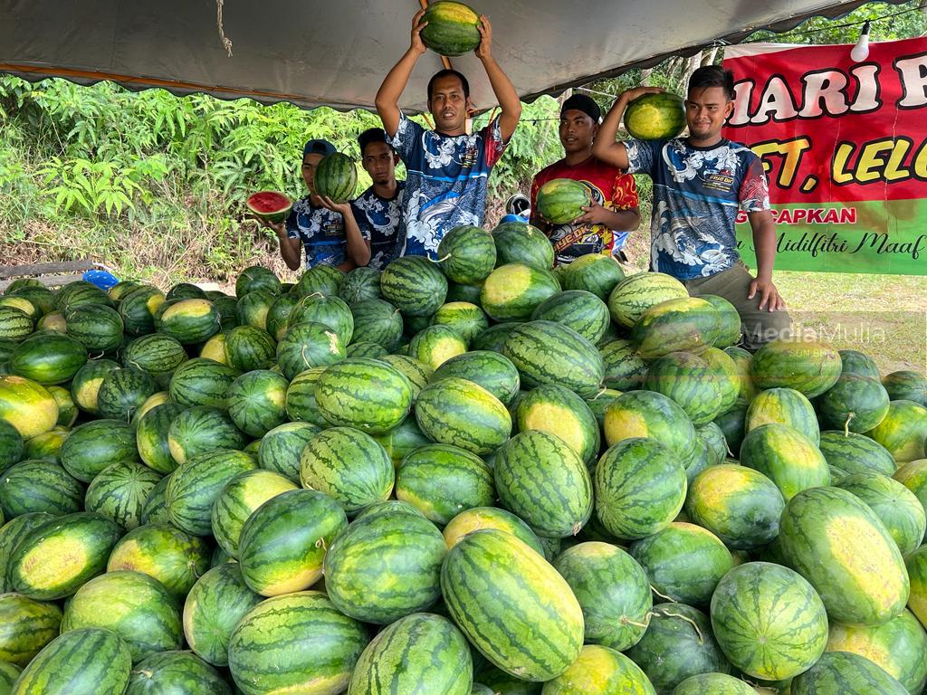 Peniaga untung besar jual 24 tan tembikai setiap hari