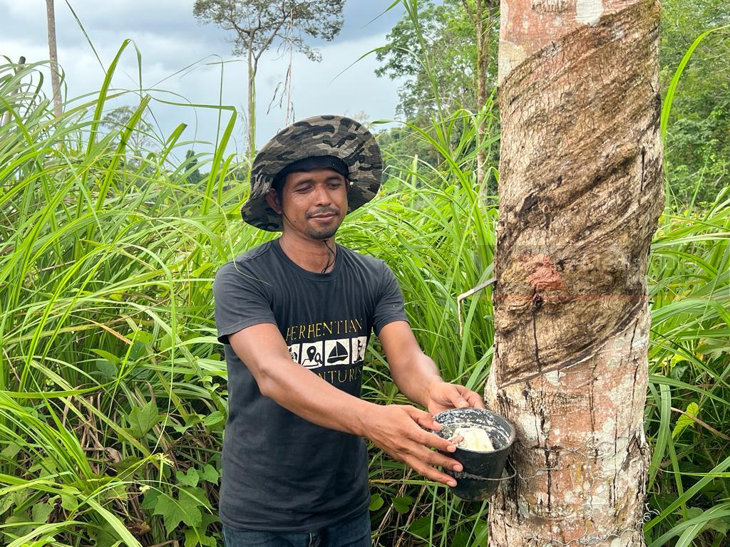 10 tahun Orang Asli susah cari makan angkara balak