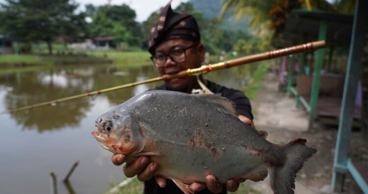 Pacu Buruan Pemancing Baharu Kosmo Digital