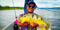 TASIK TIMAH TASOH: TOMAN VS PEACOCK BASS Tasik Timah Tasoh adalah