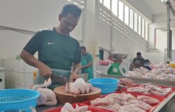 Pulau Pinang laksana pelan intervensi bekalan ayam