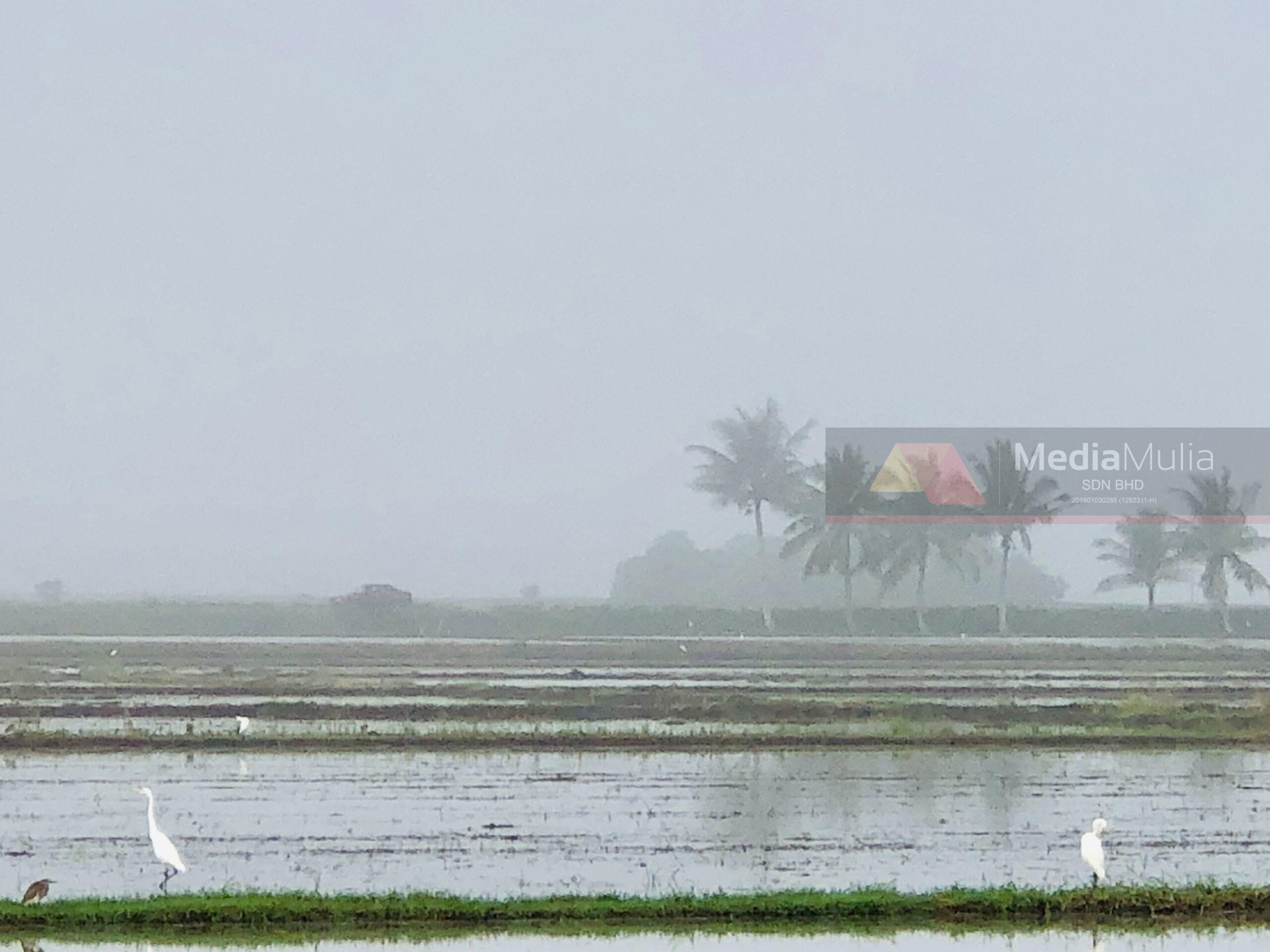 kabus sejuk Alor setar jerai kedah cuaca luar biasa scaled