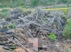 Pekerja ladang tembikai mati dengan lapan kesan tikaman