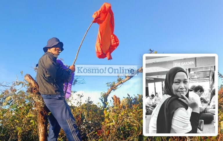 Dua Hari Duduk Atas Pokok Tunggu Bomba Kosmo Digital 3678