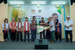 Harga Lantai Belian Padi Di Sarawak, Sabah RM1,300 Per Tan Metrik ...