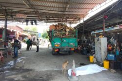 Pemandu lori langgar pejalan kaki ada 100 rekod saman trafik