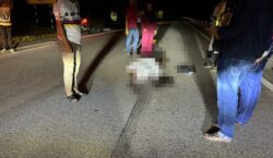 Askar maut terlanggar anjing lintas jalan