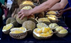 Minum air pangsa durian cegah panas badan, perut tidak selesa