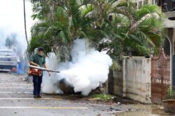 Kes demam denggi berkurang, tiada kematian direkodkan