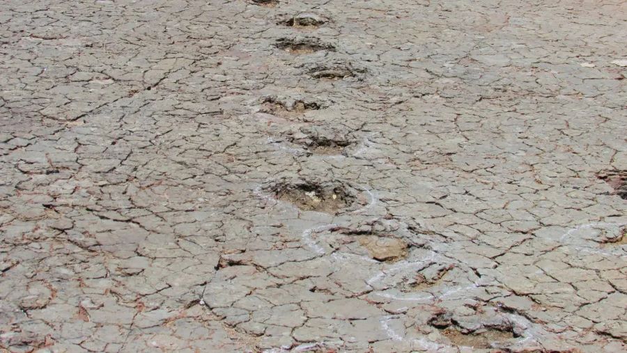 Tapak kaki dinosaur bukti Amerika Selatan dan Afrika bercantum 