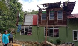 Angin kencang berpusing tumbangkan pokok durian