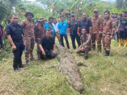 Pekerja ladang ditemui dalam mulut buaya