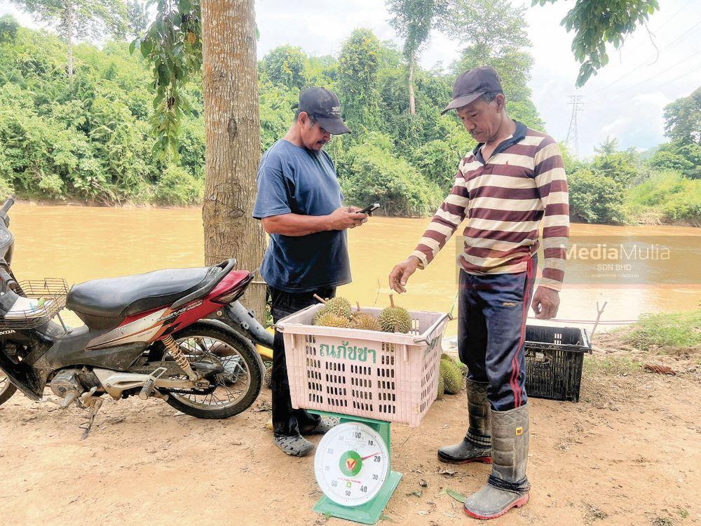 Jual durian semurah RM2.70 sekilogram