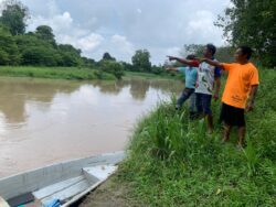 Orang Asli hilang mata pencarian, ikan mati akibat sungai tercemar