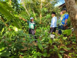 Taman Botanikal Perlis tempatkan 80 spesies tanaman nadir