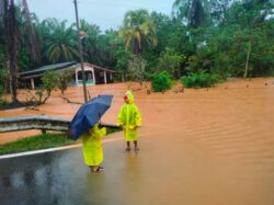 560 mangsa banjir di Kelantan, Terengganu