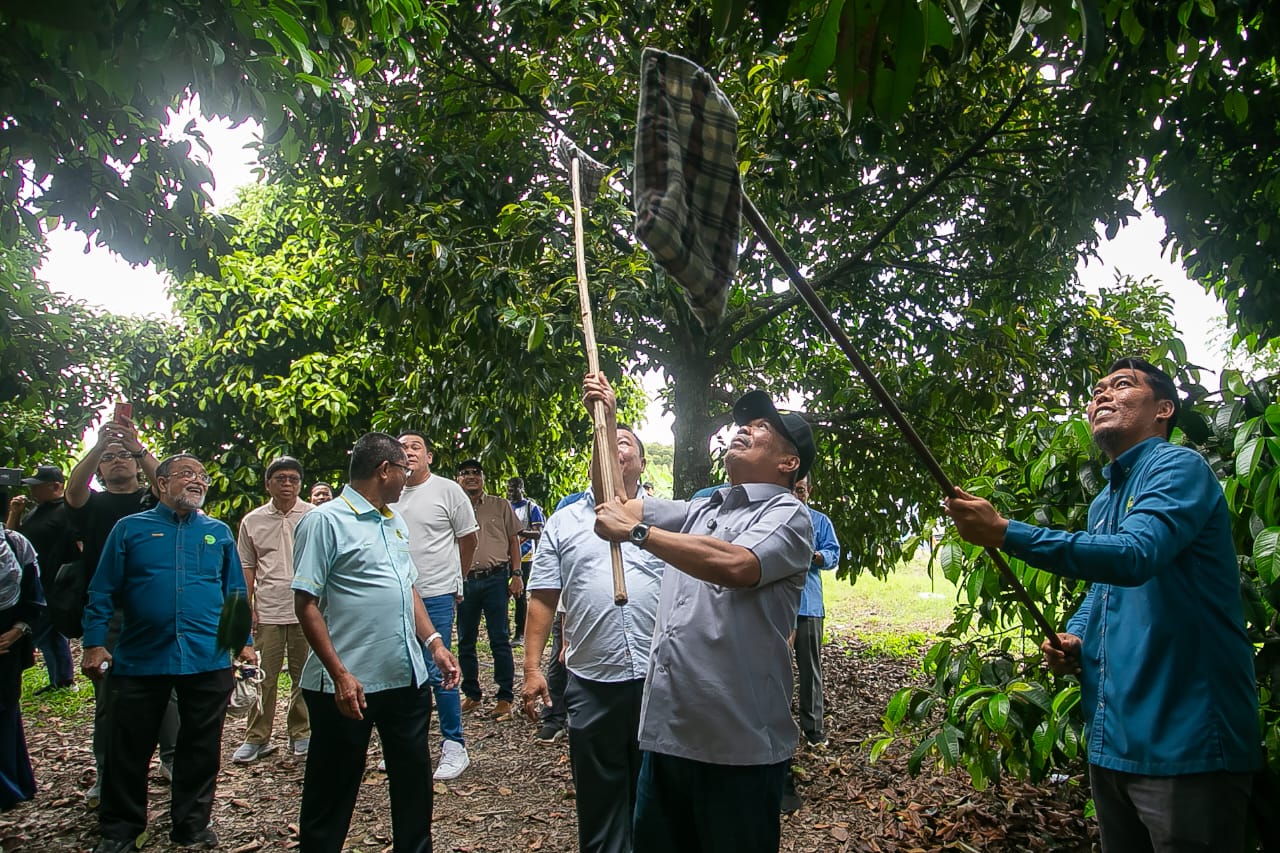 Asia Barat, Eropah potensi baharu durian Malaysia