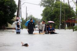 Penyakit bawaan bah melioidosis boleh bawa maut