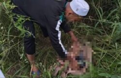 Bayi berbalut kain ditemui belakang surau