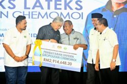 10 kompleks lateks baharu, tanam semula 400,000 hektar getah