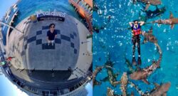 Berenang bersama jerung di Maldives