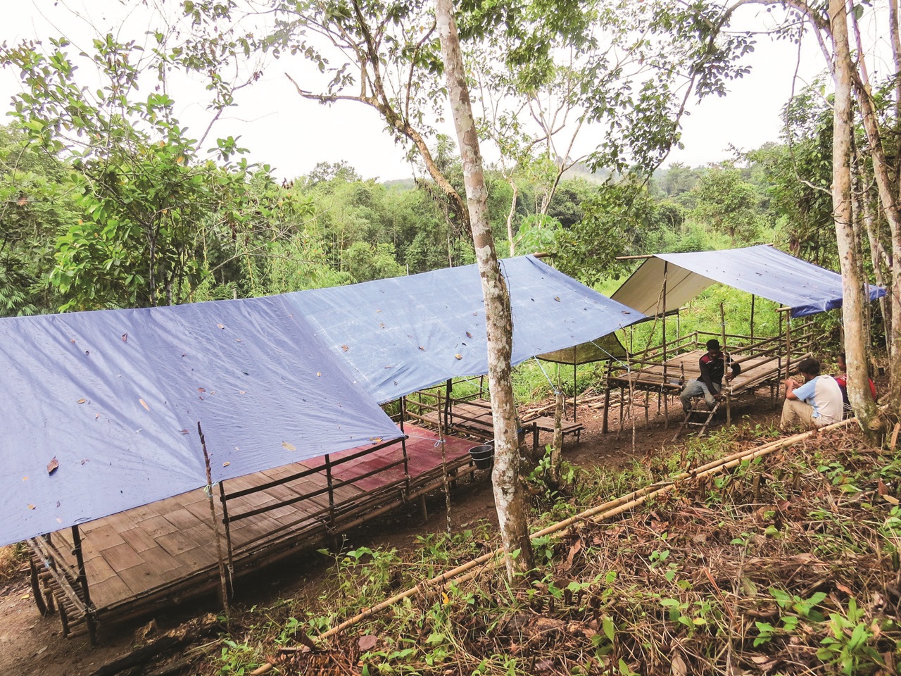 Orang Asli mula cari bukit