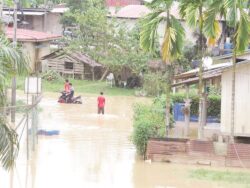 Rumah tenggelam setiap kali hujan lebat