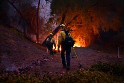 Angin amat kritikal, Los Angeles belum selamat